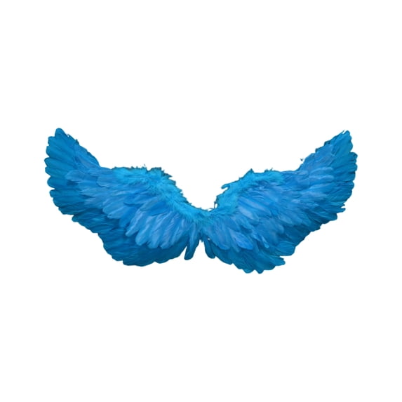 Feather Angel Wings Costume Accessory, Vibrant Color Design with Elastic Straps for Easy Wear for Halloween Party Stage Performance and Photography Props,Sky Blue