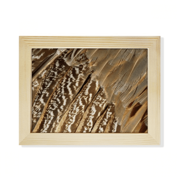 Feather Animal Snake Pattern Desktop Photo Frame Picture Art Decoration Painting 6x8 inch