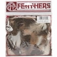 thumbnail image 1 of Feather Assortment .25 Ounces-Guinea Hen/Biots/Satinettes/Coquille, 1 of 4