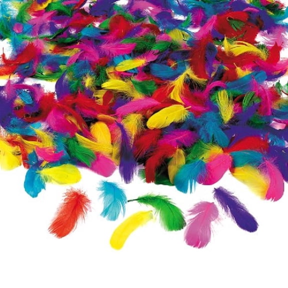Feather Assortment (600Pcs) - Craft Supplies - 600 Pieces