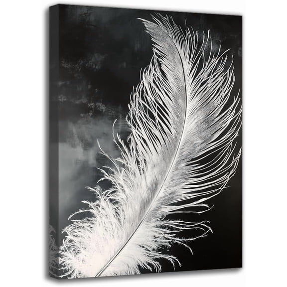 Feather Canvas Texture Painting Black White Modern Minimalist Abstract Framed Wall Art Print, Wall Decor for Living Room Bedroom Home Office (8W X 12L)