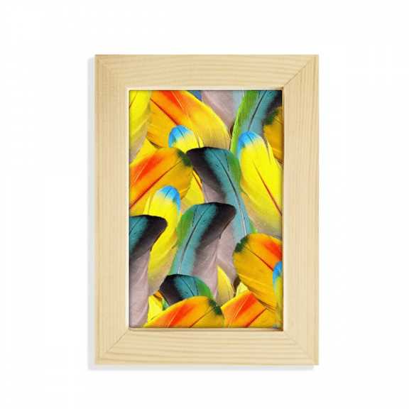 Feather Colorful Flower Sunlight Desktop Display Photo Frame Picture Art Painting 5x7 inch