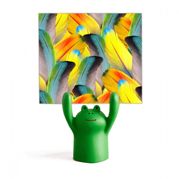 Feather Colorful Flower Sunlight Memo Holder Cartoon Animal Frog Stand Decoration