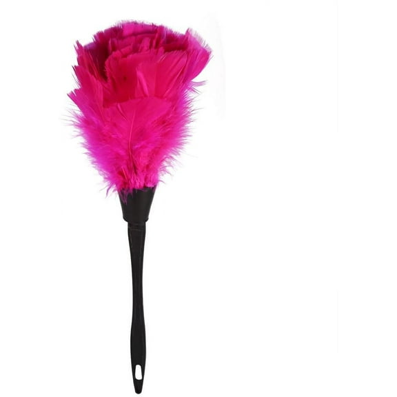 Feather Duster - Turkey Feather Duster Soft Brush with Black Handle, Home Furniture,Keyboard,Car Cleaning Tools