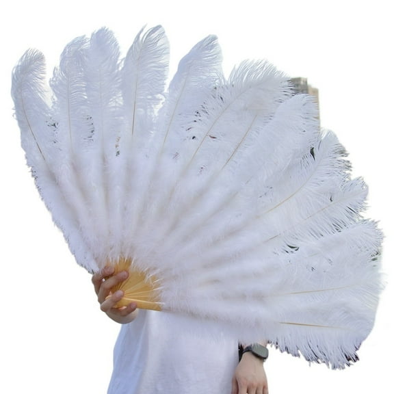 Feather Fan Large Ostrich Feather Fan Lady Wedding Halloween Party Dance Foldable Craft Fans Decorative Fan for Women