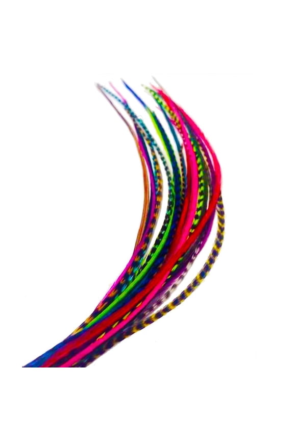 Hair Extensions, 100% Real Rooster Feathers, Short Rainblow colors 20 Feathers for hair