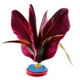 thumbnail image 1 of Feather Kick Shuttlecock Chinese Jianzi Sport, Wine Red - 3 Piece, 1 of 1