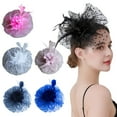 thumbnail image 1 of Feather Mesh Decorative Top Hat Headband Party Hair Accessories Women Flower Decor Dot Print Headpiece, 1 of 8