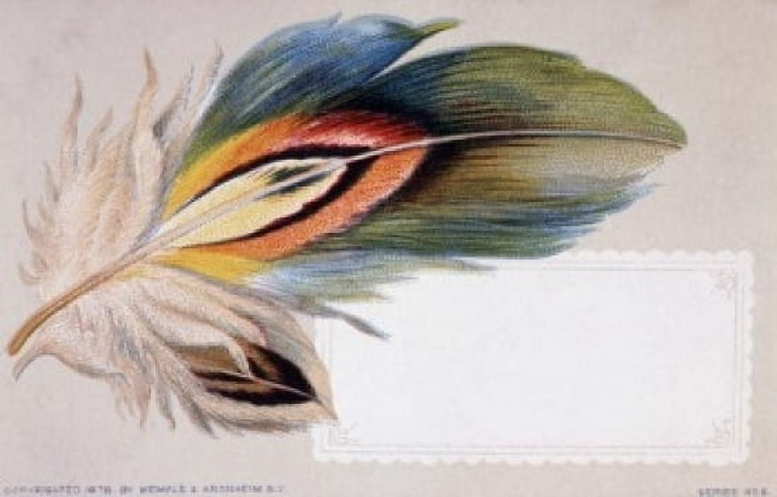 Feather Nostalgia Cards Canvas Art - (24 x 36)