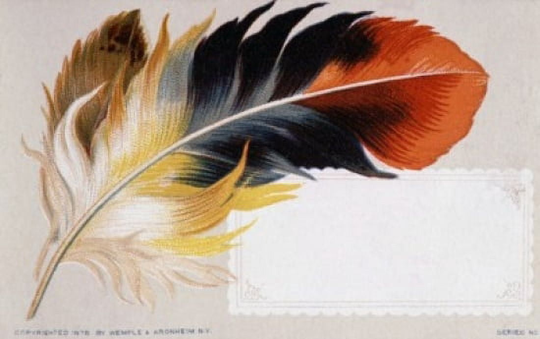 Feather Nostalgia Cards Canvas Art - (24 x 36)