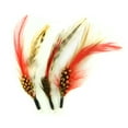 thumbnail image 1 of Feather Picks, 4", 1 of 2