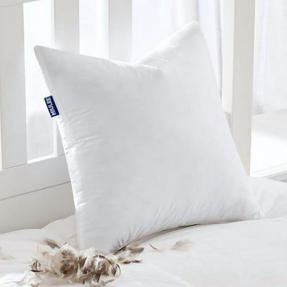Feather Pillow Insert 24x24, Decorative Down Throw Pillow Insert Fluffy Throw Pillow Cotton Fabric for Sofa Bed Couch