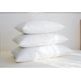 thumbnail image 1 of Feather Pillow (Level 3) White / King, 1 of 6