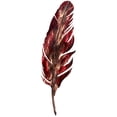 thumbnail image 1 of Feather Red, 1 of 2