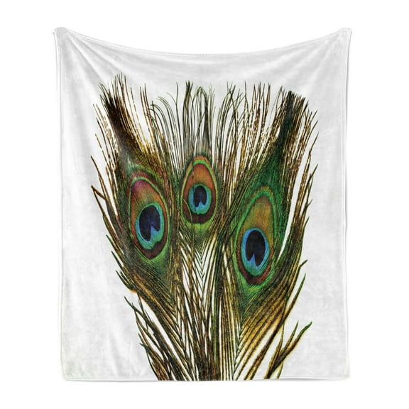 Feather Soft Flannel Fleece Blanket, Close up Photo of Peacock Feather on a Plain Background Boho Themed Print, Cozy Plush for Indoor and Outdoor Use, 50" x 70", Fawn and Multicolor, by Ambesonne