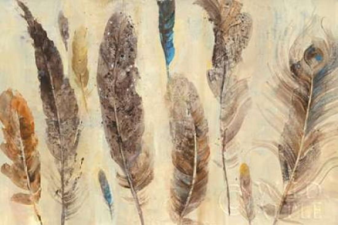 Feather Study Canvas Art - Albena Hristova (12 x 18)