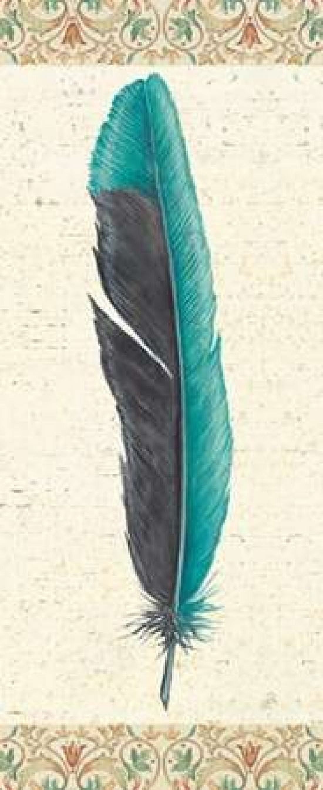 Feather Tales V Canvas Art - Daphne Brissonnet (24 x 48)