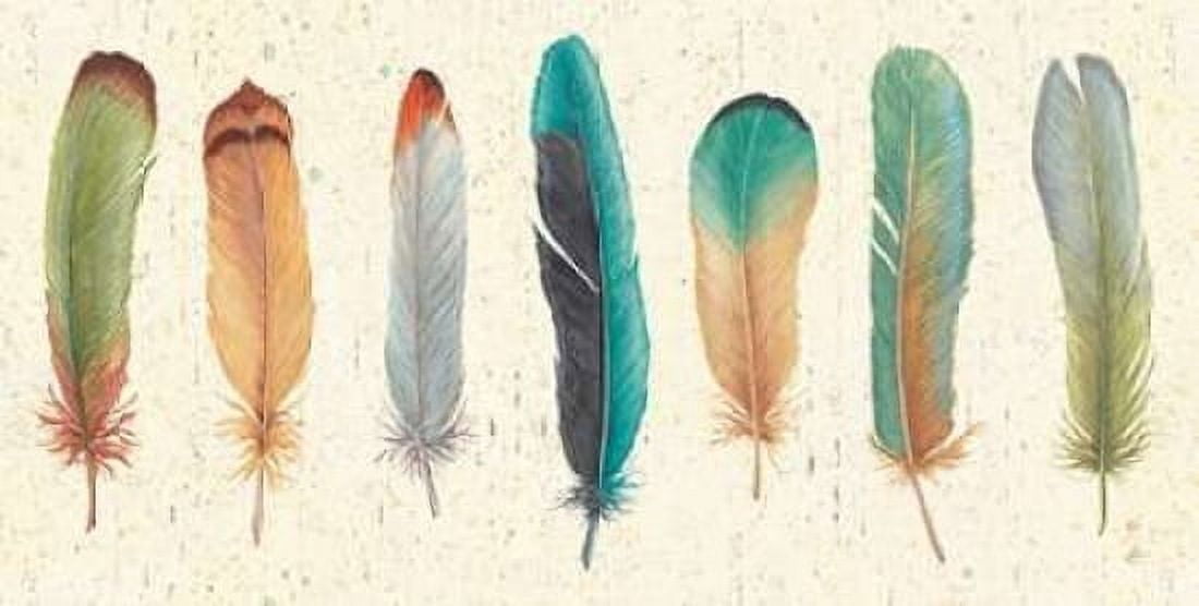 Feather Tales VII Canvas Art - Daphne Brissonnet (10 x 20)