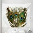 thumbnail image 1 of Feather Tapestry, Close up Photo of Peacock Feather on a Plain Background Boho Themed Print, Fabric Wall Hanging Decor for Bedroom Living Room Dorm, 5 Sizes, Fawn and Multicolor, by Ambesonne, 1 of 1