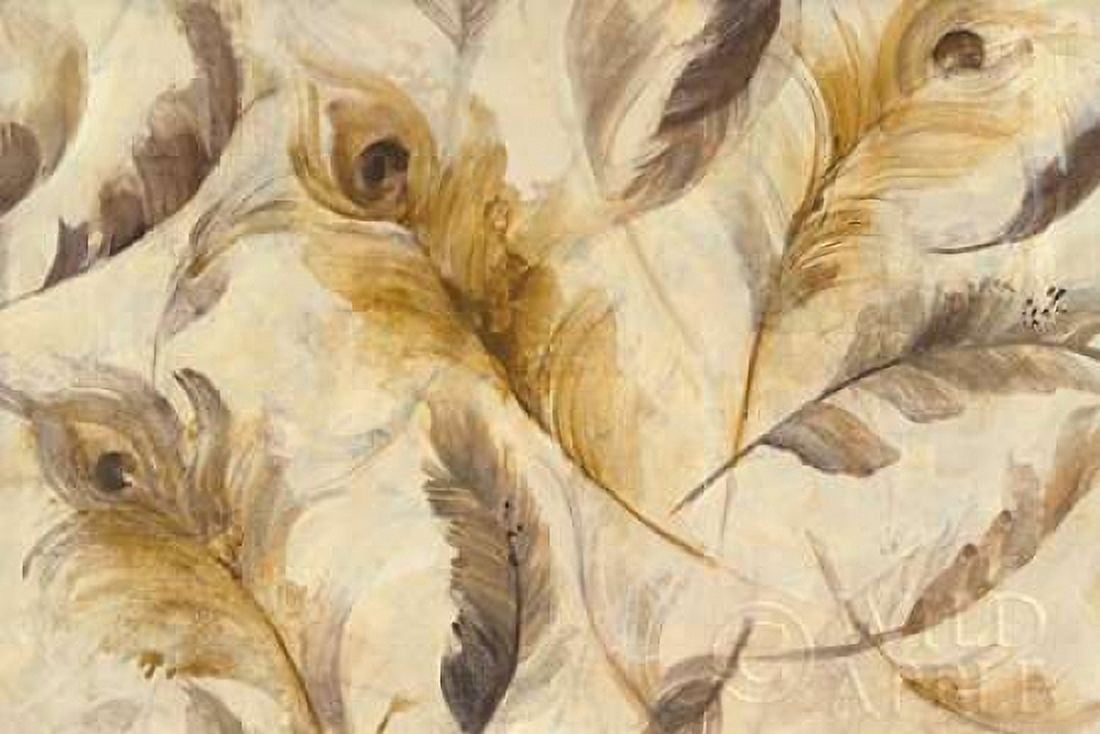 Feather Toss Canvas Art - Albena Hristova (24 x 36)