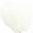 thumbnail image 1 of Feather decorative lights Decorative Lights Led Feather For Festival Atmosphere Feather White 1 PC, 1 of 7