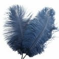 thumbnail image 1 of Feather decorative lights Party Lights Feather Lights For Festival Atmosphere Feather Blue 1 PC, 1 of 7