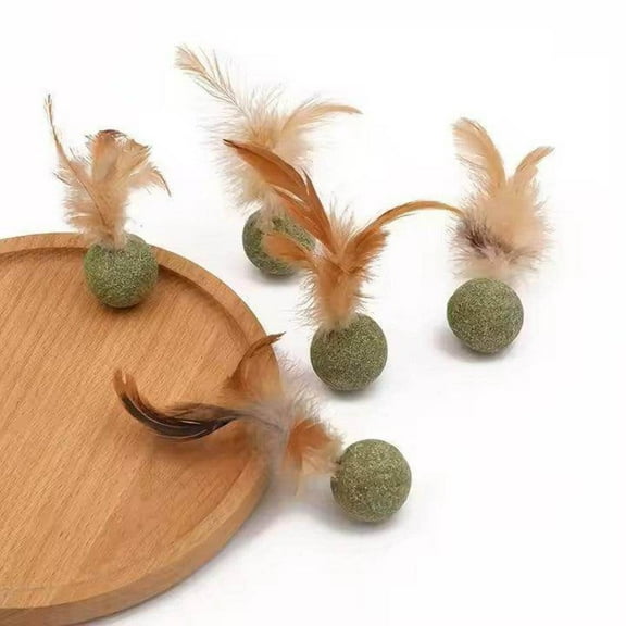 Feathered Catnip Mint Toys (3pc)