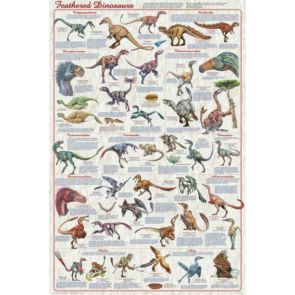 Feathered Dinosaurs 2 Educational Poster 24.5x36.5 - Laminated