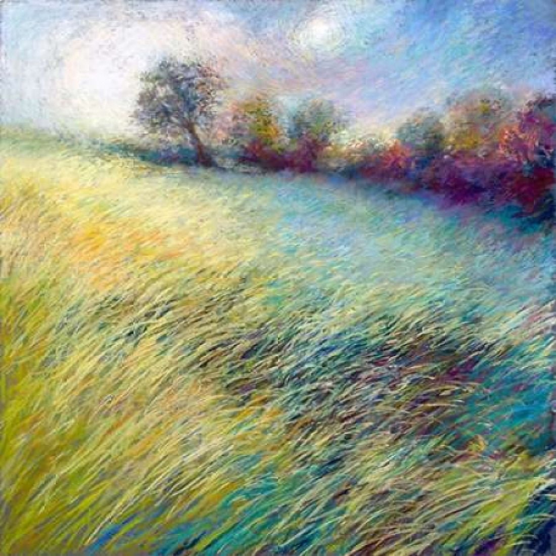 Feathered Field Canvas Art - Nel Whatmore (24 x 24)