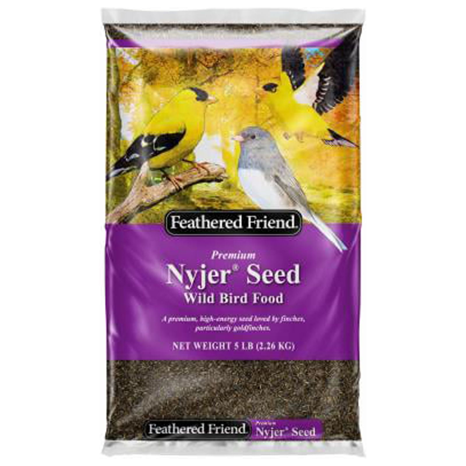 キッズ・ファミリー grape SEED Unit 11 1.jpg?241108092638