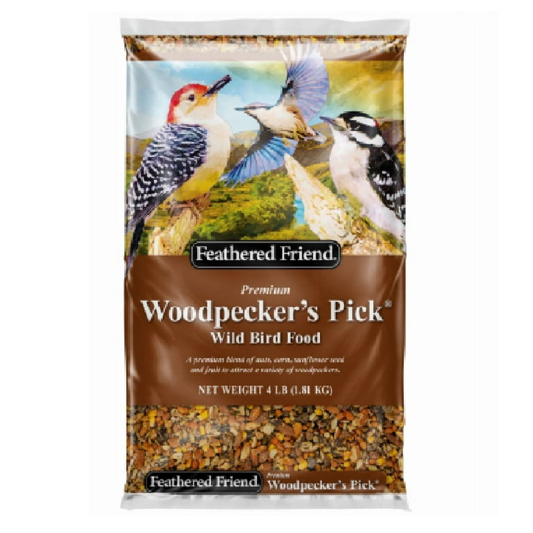 woodpecker food