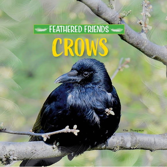 Feathered Friends Crows, (Paperback)