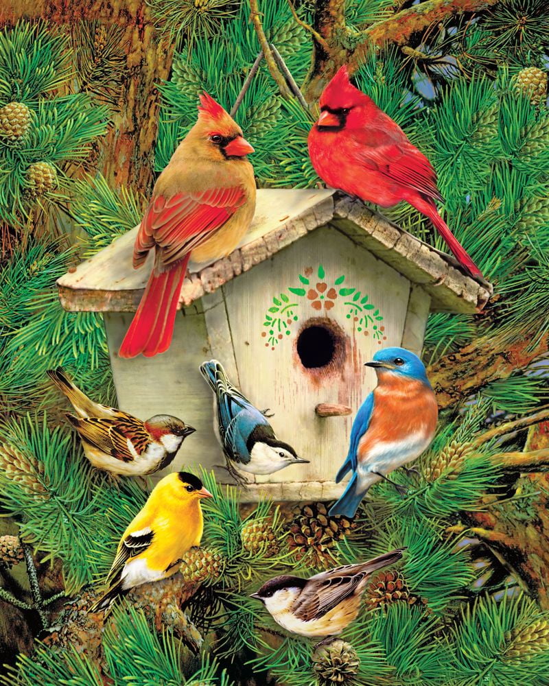 Springbok 500 Piece Feathered Retreat Jigsaw Puzzle for Adults – Made Domestically
