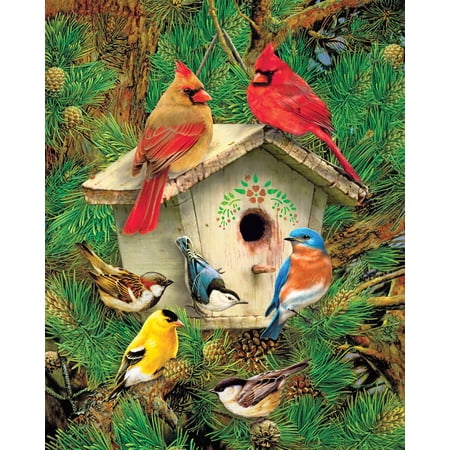 Springbok 500 Piece Feathered Retreat Jigsaw Puzzle for Adults – Made Domestically