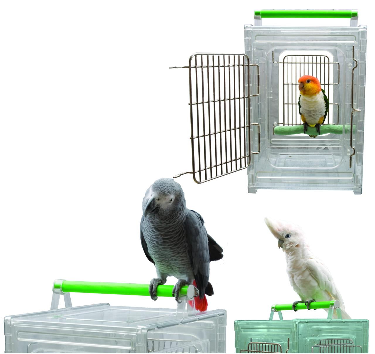 Clear Polycarbonate Bird Carrier with Green Perch Handle