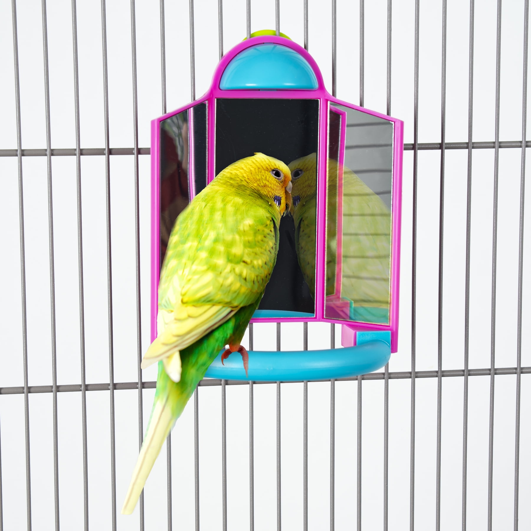 Featherland Paradise Triple Mirror Perch for Small Birds