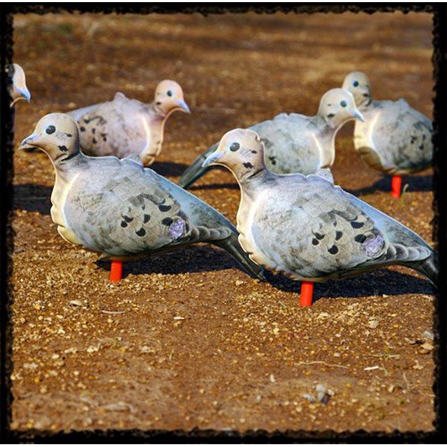 Cherokee Sports Pocket Rockets Inflatable Photoprinted Dove Decoys