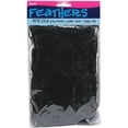 thumbnail image 1 of Feathers 14g-Black, Pk 6, Darice, 1 of 2