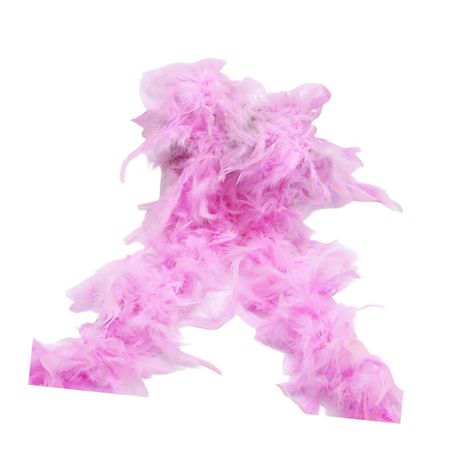 Feathers Costume Accessory 2M DIY Costume Feather Garland for Stage