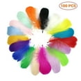 thumbnail image 1 of Feathers for Crafting,Colorful Craft Rooster Feathers - 100pcs Colored Feathers Bulk for Kindergarten DIY Crafts,Wedding Home Party Decorations,Dream Catcher Supplies(Rooster Colorful), 1 of 5