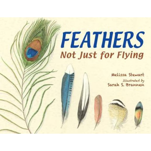 Pre-Owned Feathers: Not Just for Flying (Hardcover) 1580894305 9781580894302