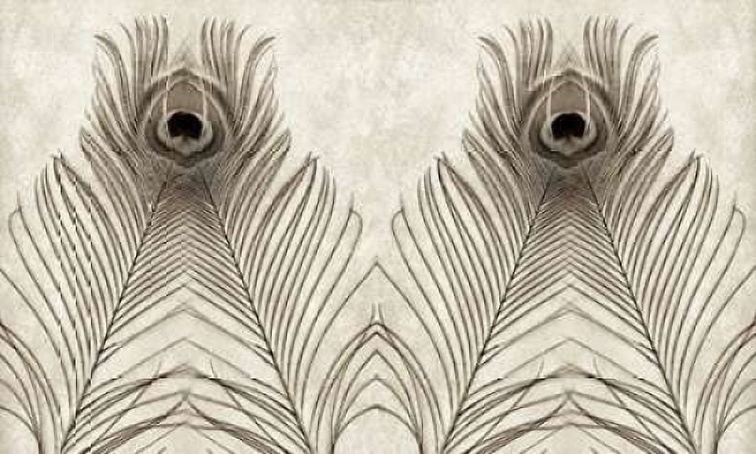 Feathers Panel - 5 Canvas Art - Alan Blaustein (24 x 36)