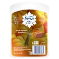 thumbnail image 1 of Febreze Odor-Eliminating Wax Melt Air Freshener Refills, Fresh-Fall Pumpkin, 6 count, 1 of 8