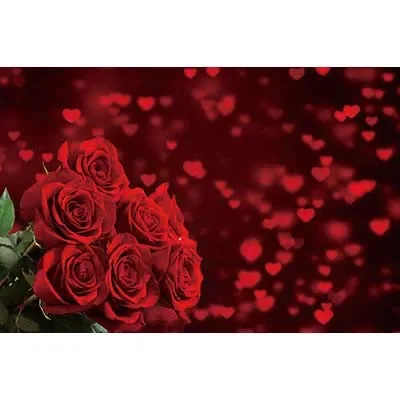 February Backdrop Roses February 14 Valtines Day Background Wom Birthday Heart Love Rose ...