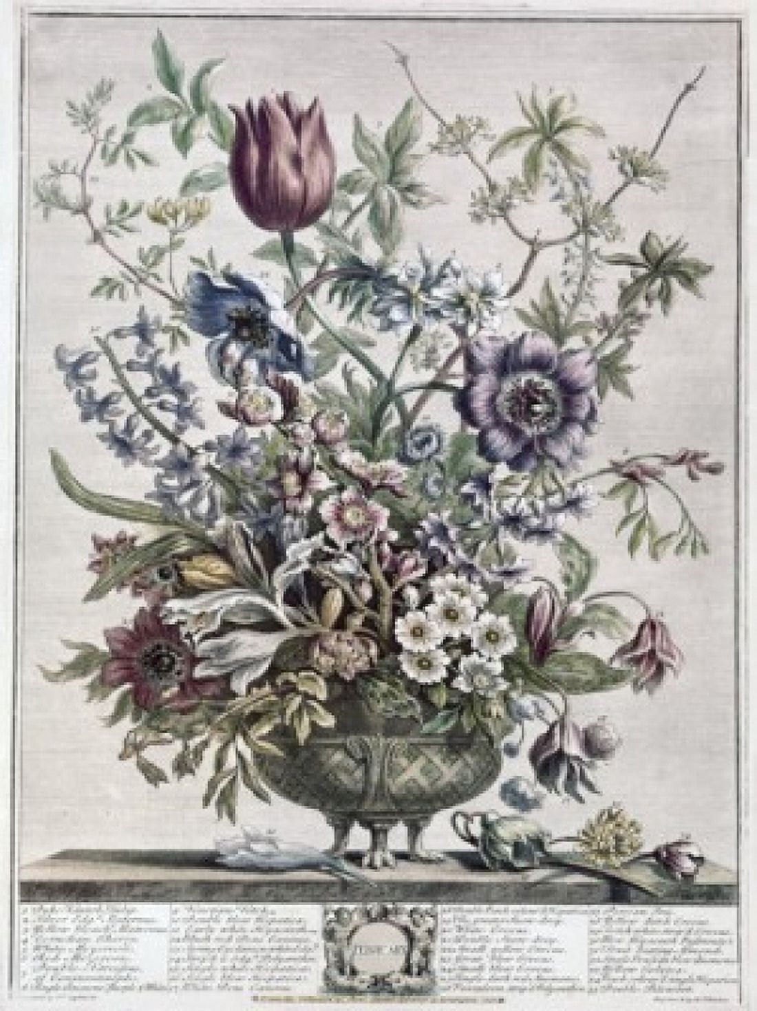 February 1730 H Fletcher (ca18th C British) Lithograph Canvas Art - H Fletcher (18 x 24)