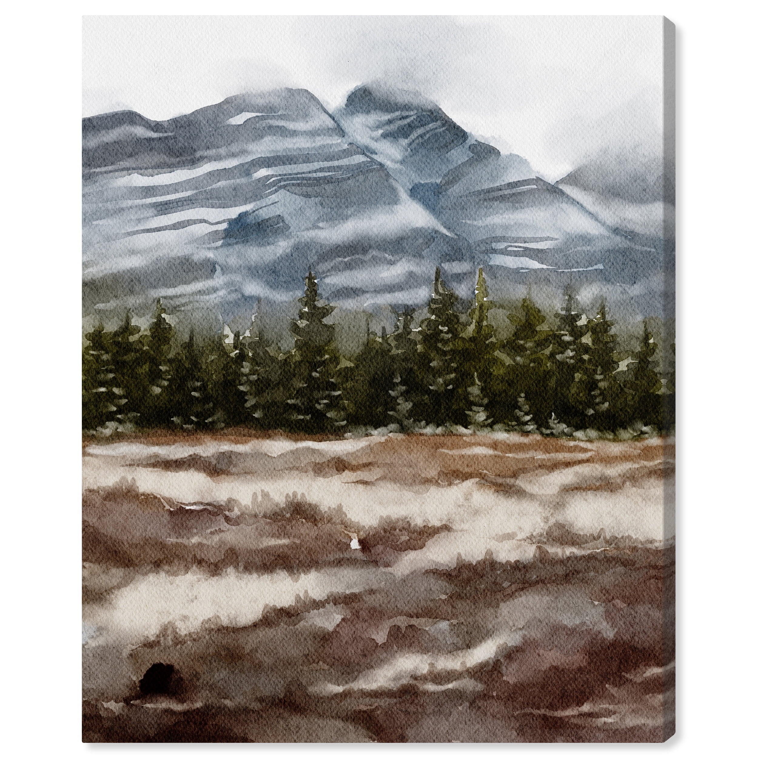February Rocks Landscape Gallery Wrapped Canvas Art, 20" x 24"