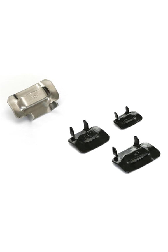 3-8 Inch 304SS Ear Lokt Buckle