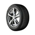 thumbnail image 1 of Federal Himalaya WS2 175/65R14XL 86T BSW (2 Tires), 1 of 1