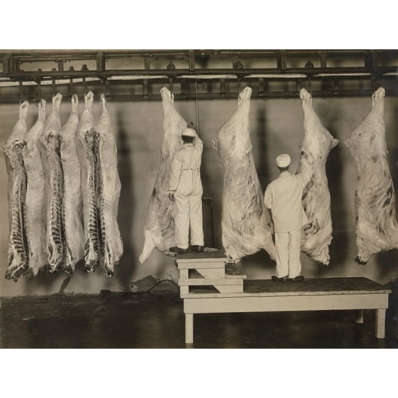 Federal Meat Inspectors Examine Animal Carcasses In 1910. The Pure Food And Drug Act Of 1906 Provided For Federal