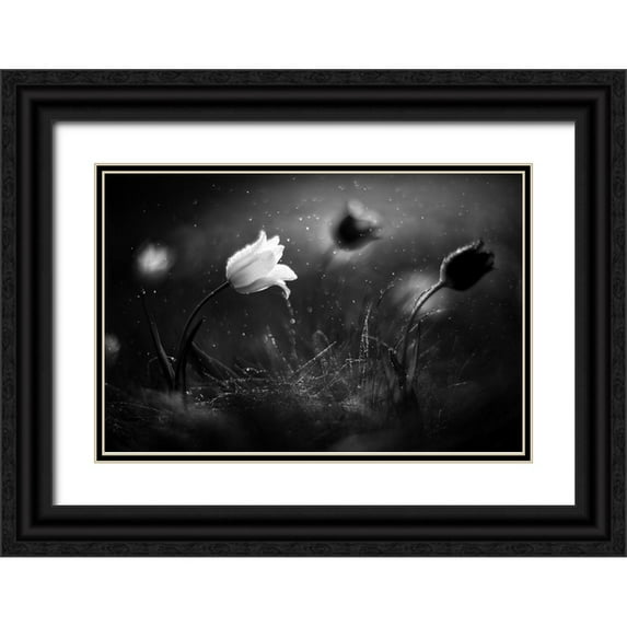 Fedotov, Vadim 14x11 Black Ornate Wood Framed with Double Matting Museum Art Print Titled - Steppe Flower